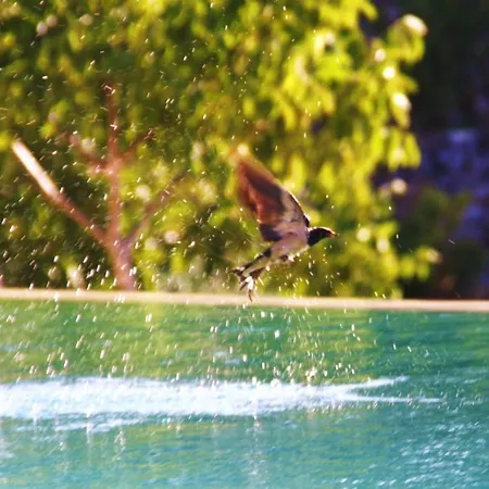 컨트리하우스 Dimora Casanoja