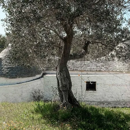 컨트리하우스 Dimora Casanoja 노치