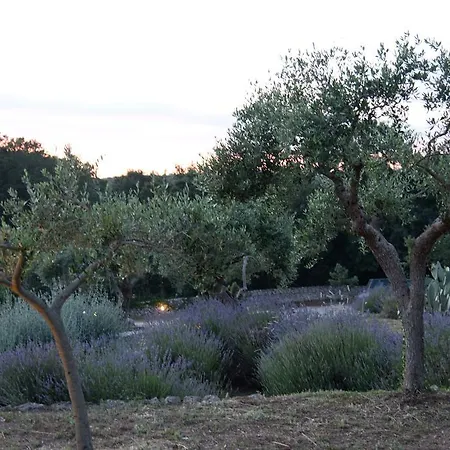 Country house Dimora Casanoja